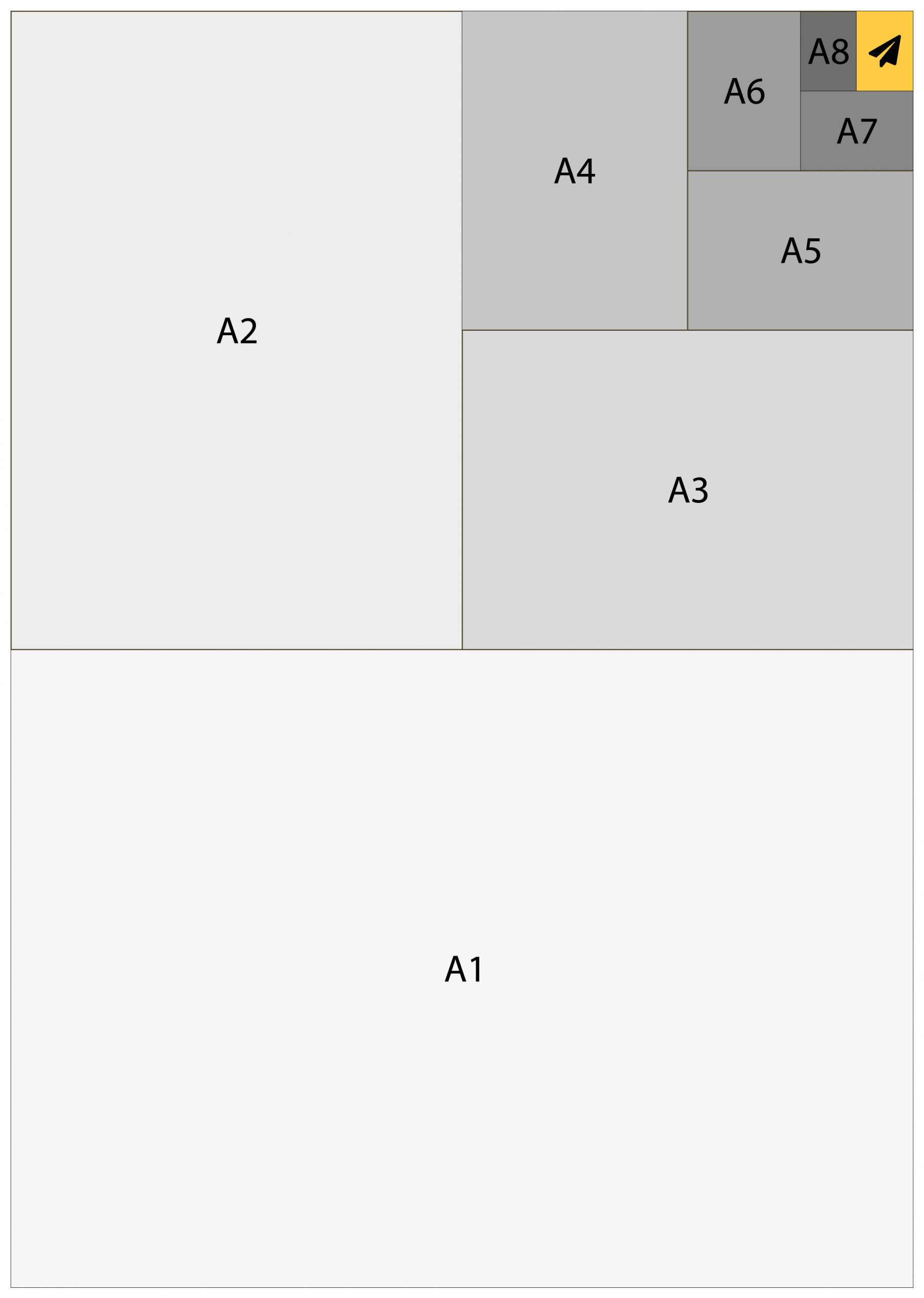 Paper Sizes & Weights In 1x Simply Explained